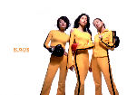 Site So Close : le retour du Girls With Guns?