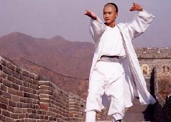 Master of Taichi - Wu Jing